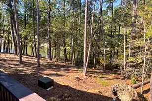 317 Coastal Cove, McCormick, SC 29835 - Photo 15