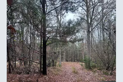 1956 Pineywoods Road, Lincolnton, GA 30817 - Photo 7