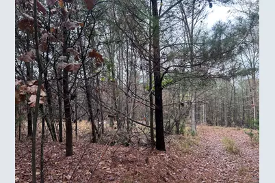 1956 Pineywoods Road, Lincolnton, GA 30817 - Photo 5