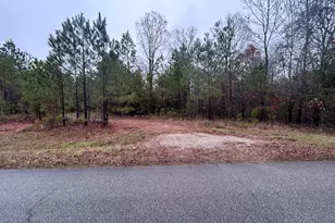 1956 Piney Woods Rd, Lincolnton, GA 30817 - Photo 1