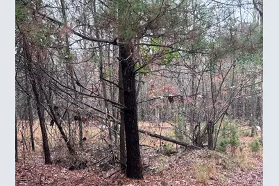 1956 Pineywoods Road, Lincolnton, GA 30817 - Photo 9