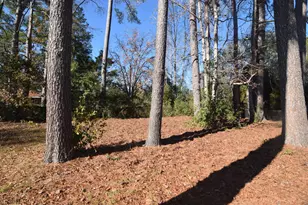 2619 Drayton Dr, Augusta, GA 30906 - Photo 25