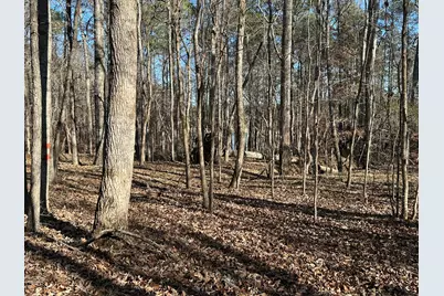 Lot 62 Wisteria Drive, Lincolnton, GA 30817 - Photo 7