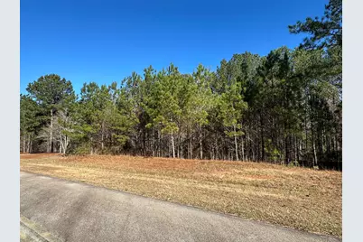 Lot 62 Wisteria Drive, Lincolnton, GA 30817 - Photo 3