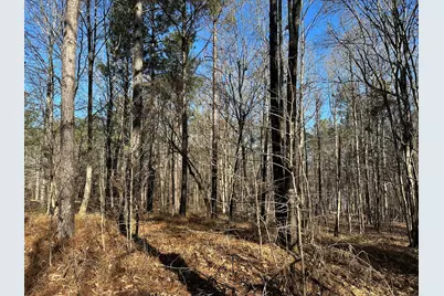 Lot 62 Wisteria Drive, Lincolnton, GA 30817 - Photo 5