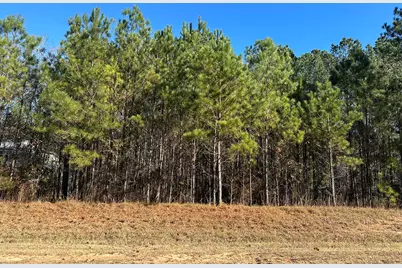 Lot 62 Wisteria Drive, Lincolnton, GA 30817 - Photo 1