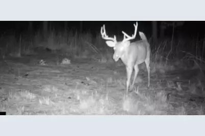 0 Pineridge Drive, Lincolnton, GA 30817 - Photo 27