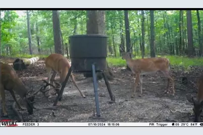 0 Pineridge Drive, Lincolnton, GA 30817 - Photo 25