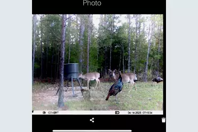 0 Pineridge Drive, Lincolnton, GA 30817 - Photo 29