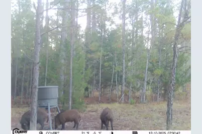 0 Pineridge Drive, Lincolnton, GA 30817 - Photo 21