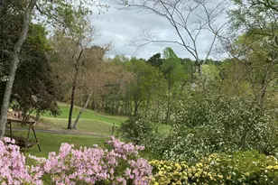 313 Live Oak Rd, Aiken, SC 29803 - Photo 31