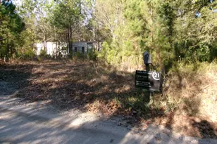 6291 Knox Dr, Applin, GA 30802 - Photo 3