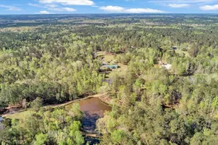 7025 Rance Perry Rd, Appling, GA 30802 - Photo 35