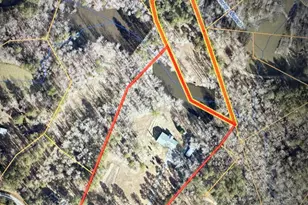 7025 Rance Perry Rd, Appling, GA 30802 - Photo 69