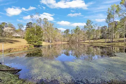 7025 Rance Perry Road, Appling, GA 30802 - Photo 25
