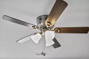 2033 Saltwater Bnd, Beech Island, SC 29842 - Photo 39