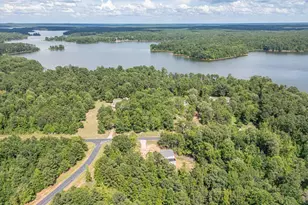 1198 Sunset Cove, Tignall, GA 30668 - Photo 39