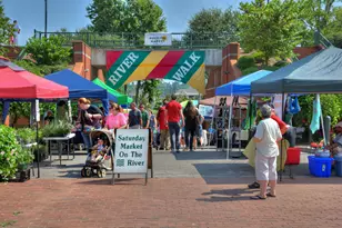 5133 Proper Ct, North Augusta, SC 29860 - Photo 63