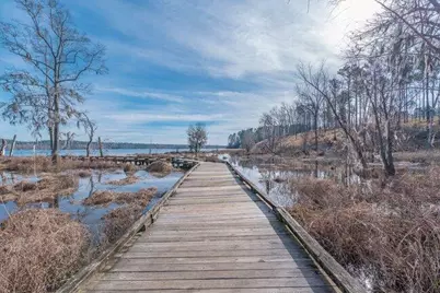 215 Hornsby Lane, Evans, GA 30809 - Photo 53