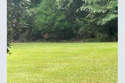 1050 Jones Martin Road, Lincolnton, GA 30817 - Photo 35