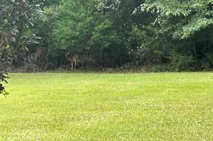 1050 Jones Martin Rd, Lincolnton, GA 30817 - Photo 35