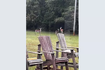 1050 Jones Martin Road, Lincolnton, GA 30817 - Photo 33