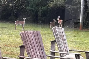 1050 Jones Martin Rd, Lincolnton, GA 30817 - Photo 33