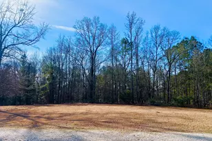 1050 Jones Martin Rd, Lincolnton, GA 30817 - Photo 27