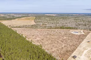 2579 Jessie James Pond Rd, Wrens, GA 30833 - Photo 51