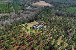 873 Joyner-Oglesby Rd, Sardis, GA 30456 - Photo 59