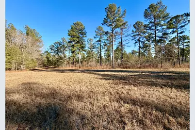 873 Joyner-Oglesby Road, Sardis, GA 30456 - Photo 71