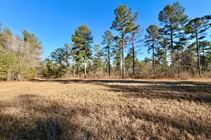 873 Joyner-Oglesby Rd, Sardis, GA 30456 - Photo 71