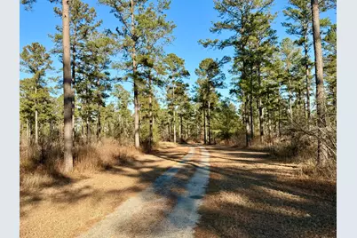 873 Joyner-Oglesby Road, Sardis, GA 30456 - Photo 69