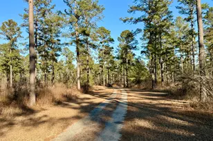 873 Joyner-Oglesby Rd, Sardis, GA 30456 - Photo 69