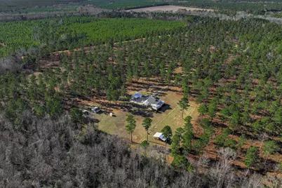 873 Joyner-Oglesby Road, Sardis, GA 30456 - Photo 67