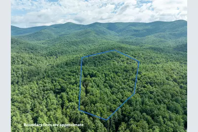 391 Whitecliff Drive, Ellijay, GA 30540 - Photo 7