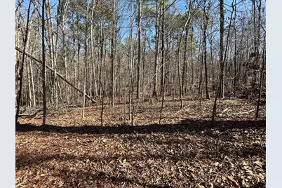 117 Cumberland Drive, McCormick, SC 29835 - Photo 5