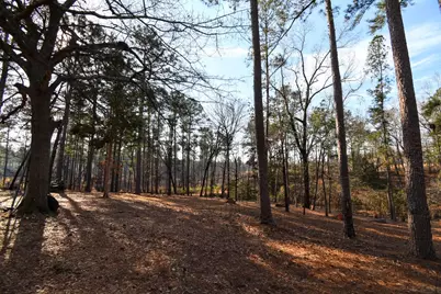 123 Cheryl Ann Drive, Grovetown, GA 30813 - Photo 43