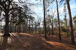 123 Cheryl Ann Dr, Grovetown, GA 30813 - Photo 43