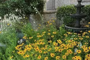 2211 Millshaven Trail, Evans, GA 30809 - Photo 59