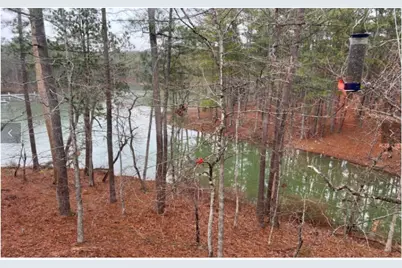 307 Superior Cove, McCormick, SC 29835 - Photo 25