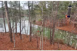 307 Superior Cove, McCormick, SC 29835 - Photo 25