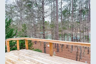 307 Superior Cove, McCormick, SC 29835 - Photo 27