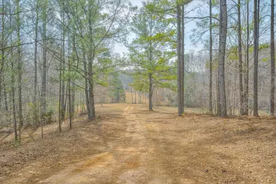 1905 Augusta Highway, Lincolnton, GA 30817 - Photo 73