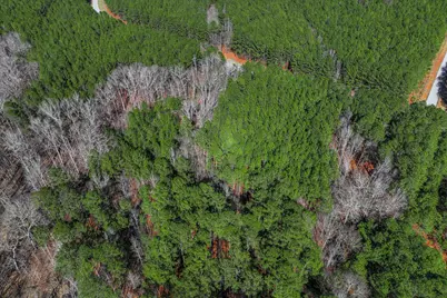 1148 Hardwood Drive, Tignall, GA 30668 - Photo 13