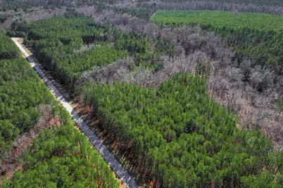 1148 Hardwood Drive, Tignall, GA 30668 - Photo 3