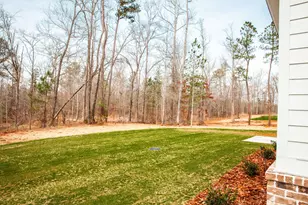 6658 Shucraft Rd, Applin, GA 30802 - Photo 37