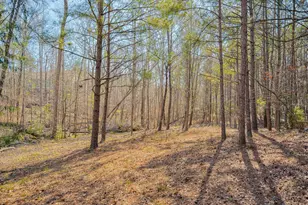 30 Tillman Ct, North Augusta, SC 29860 - Photo 47