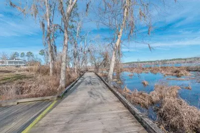 814 Audubon Way, Evans, GA 30809 - Photo 69