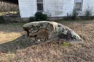 0 SE Barnett Rd, Sharon, GA 30631 - Photo 17